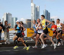 Half-Marathon-2014-70-1-310×270